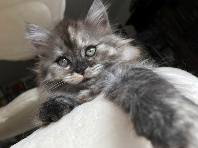 Bellina 16. September 2021